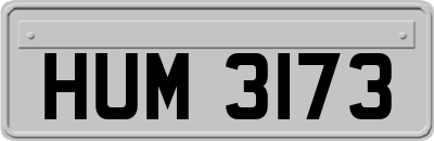 HUM3173