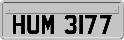 HUM3177