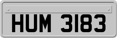 HUM3183