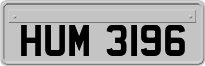 HUM3196