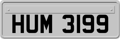 HUM3199