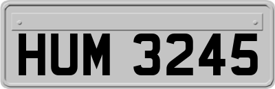 HUM3245