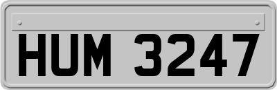 HUM3247