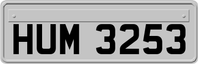 HUM3253