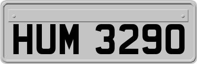 HUM3290