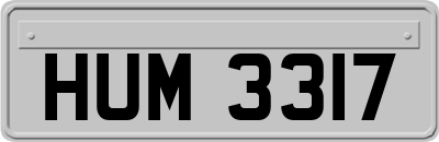 HUM3317