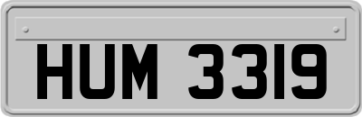 HUM3319