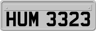 HUM3323