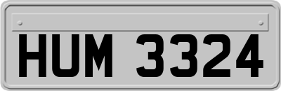 HUM3324