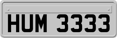 HUM3333