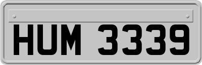 HUM3339