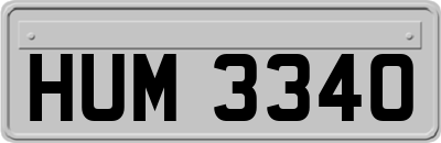 HUM3340