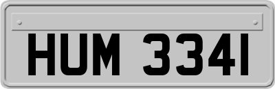 HUM3341