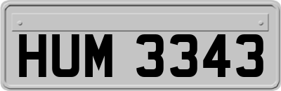 HUM3343