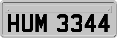 HUM3344