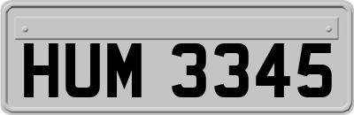 HUM3345