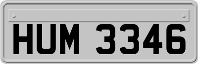 HUM3346