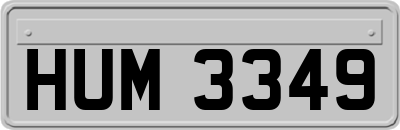 HUM3349