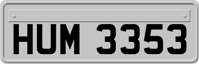 HUM3353