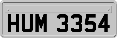 HUM3354