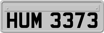 HUM3373