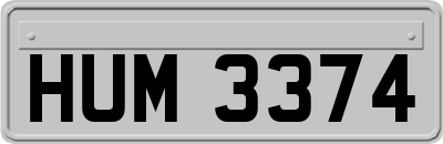 HUM3374