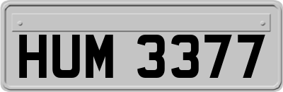 HUM3377