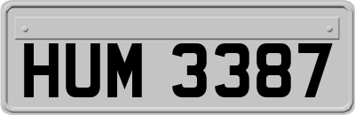 HUM3387