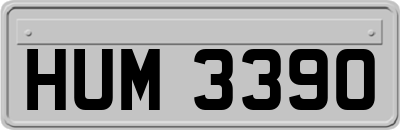 HUM3390