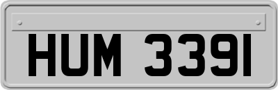 HUM3391