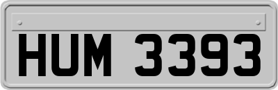 HUM3393