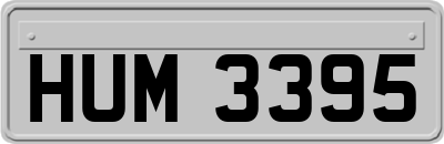 HUM3395