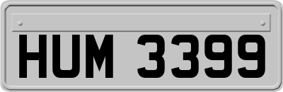 HUM3399