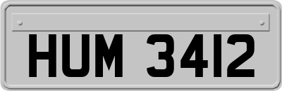 HUM3412