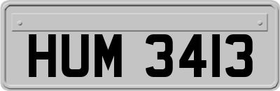 HUM3413