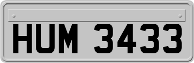 HUM3433