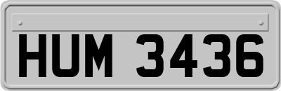 HUM3436