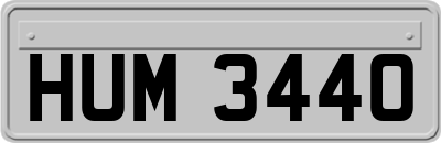 HUM3440