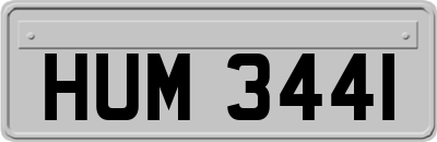 HUM3441