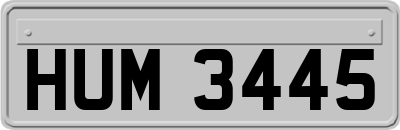 HUM3445