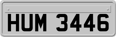 HUM3446