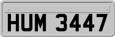 HUM3447