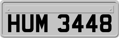 HUM3448