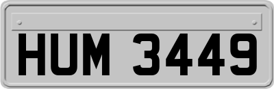 HUM3449