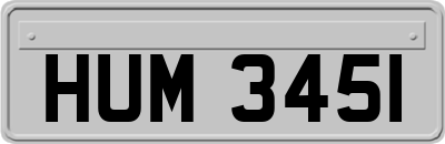 HUM3451