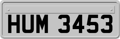 HUM3453