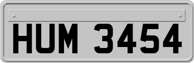 HUM3454