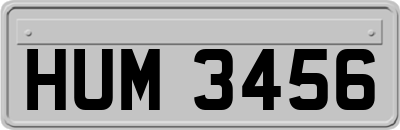 HUM3456