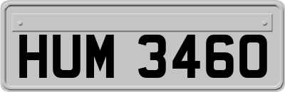 HUM3460