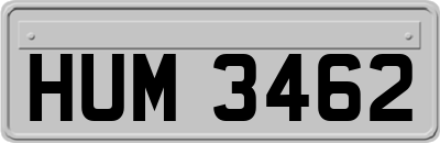 HUM3462